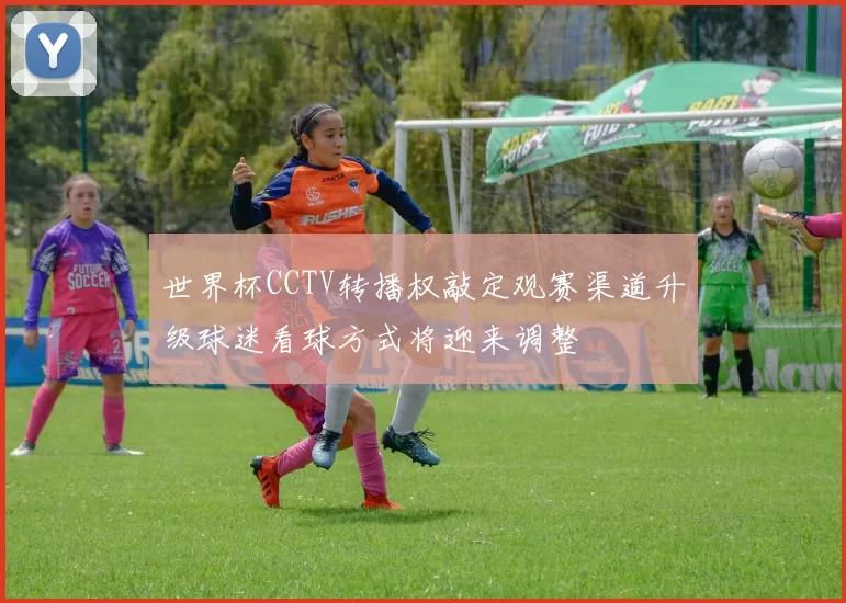 世界杯CCTV转播权敲定观赛渠道升级球迷看球方式将迎来调整