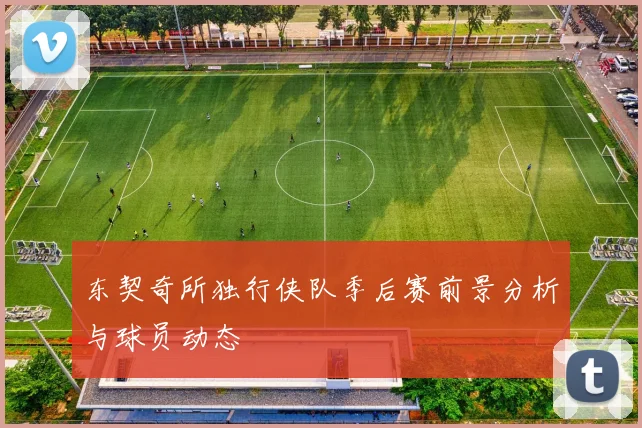 东契奇所独行侠队季后赛前景分析与球员动态