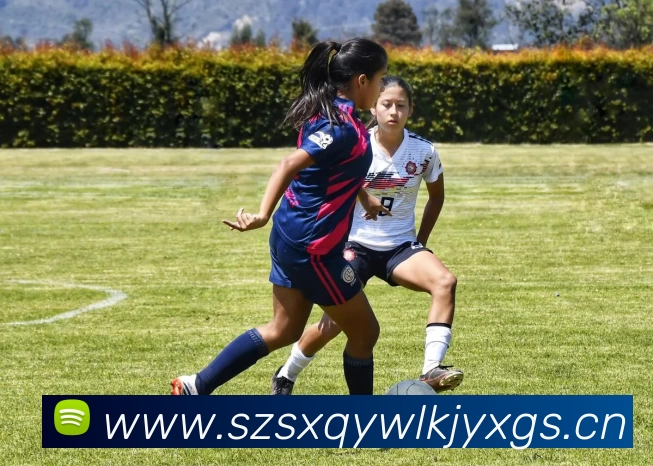 NBA投注数据显示勇士队客场比赛下注量激增创赛季新高